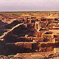 Margush