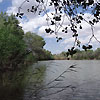 Амударьинский заповедник